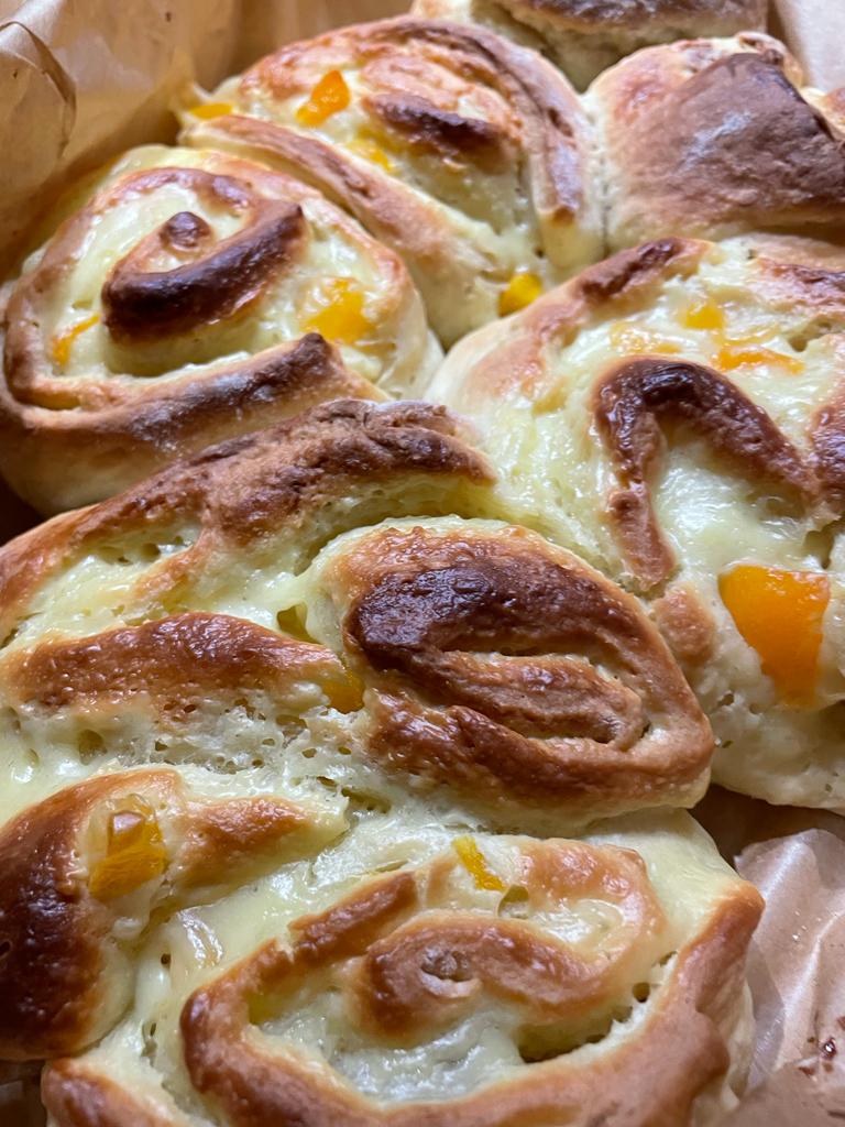 Apri-geil-Schnecken