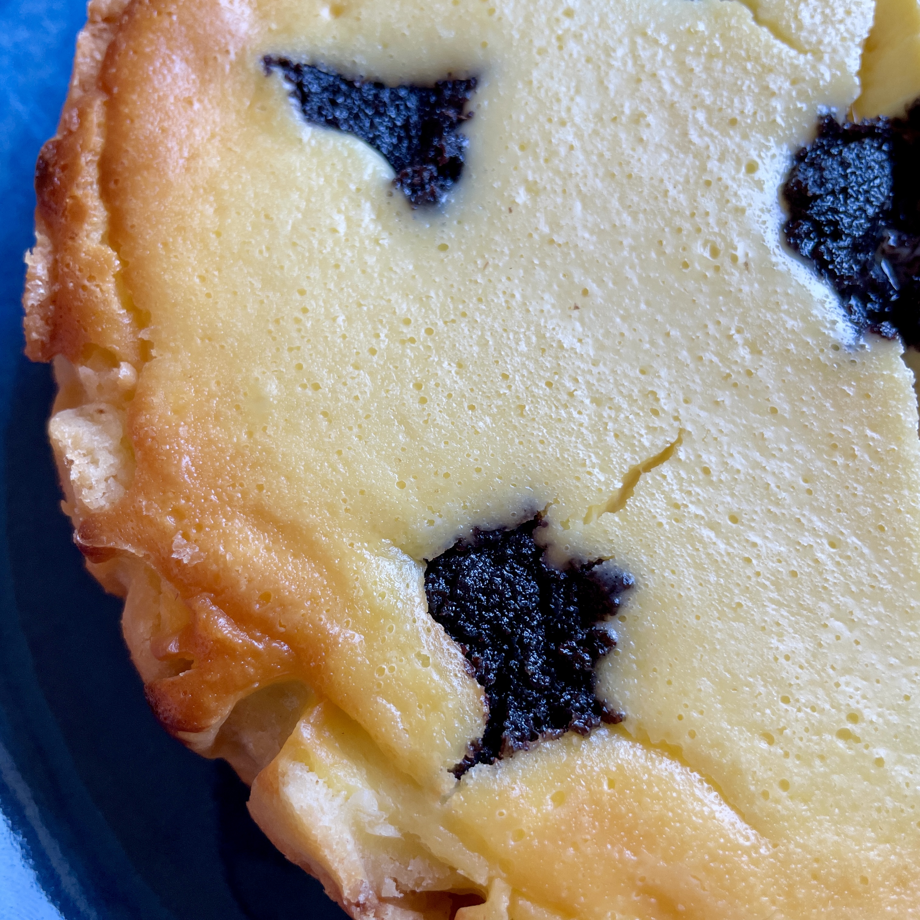 Kleiner Käsekuchen mit Mohn (Polka Dot Cake)