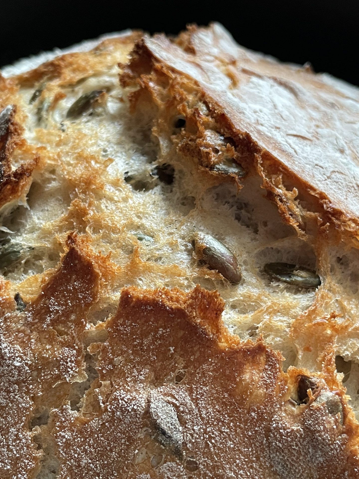 Kürbiskern-Brot